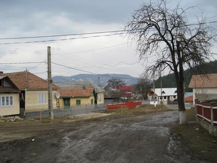 Immagine Soveja Immagine Soveja