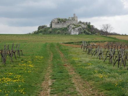 Obrázok Falkenstein