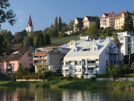 Bild von Höngg