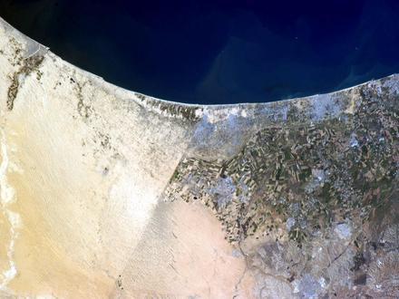 Image of Rafah Image of Rafah