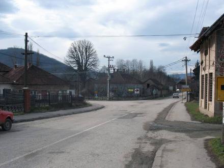 Slika Oparić Slika Oparić