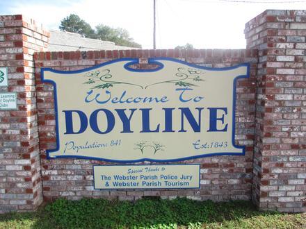 Afbeelding van Doyline Afbeelding van Doyline