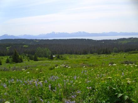 Image de Diamond Ridge