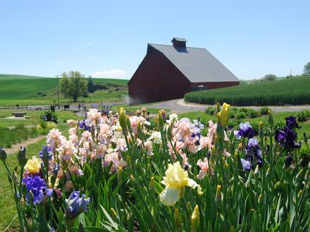 Hình ảnh về Moscow, Idaho Hình ảnh về Moscow, Idaho