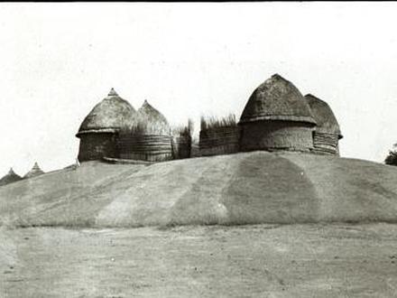 Bild von Kodok Bild von Kodok