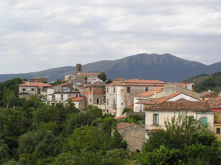 Image of Perito