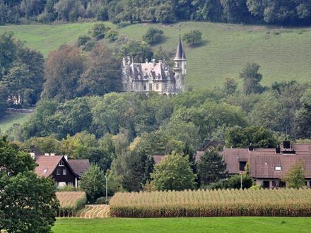 Bild von Neftenbach Bild von Neftenbach