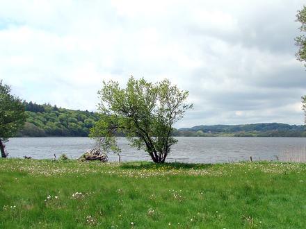 Bild von Silkeborg