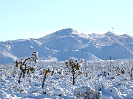 Immagine Yucca Valley