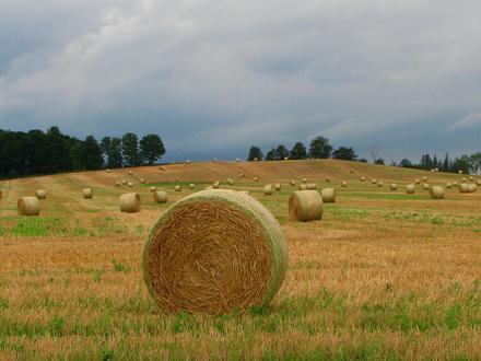 Image of New Tecumseth