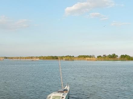 Imagen de Orani