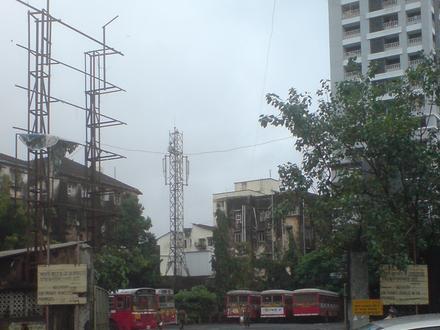 Image of Tardeo Image of Tardeo