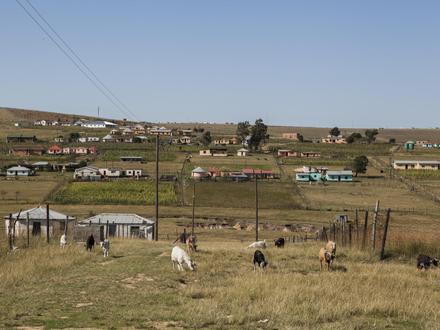 Bild von Qunu Bild von Qunu