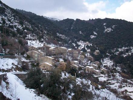 Bild von Cargiaca Bild von Cargiaca