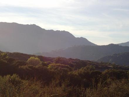 Immagine Topanga