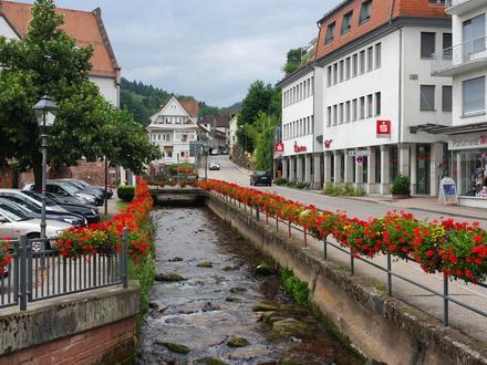 Bild von Bad Herrenalb