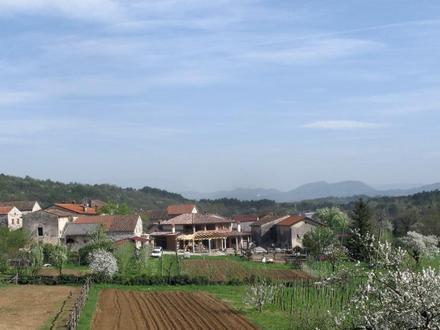 Immagine Cernizza Immagine Cernizza
