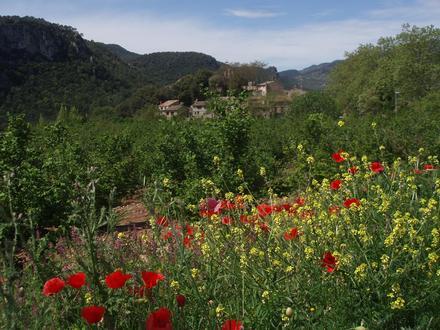 Afbeelding van Mont-ral Afbeelding van Mont-ral