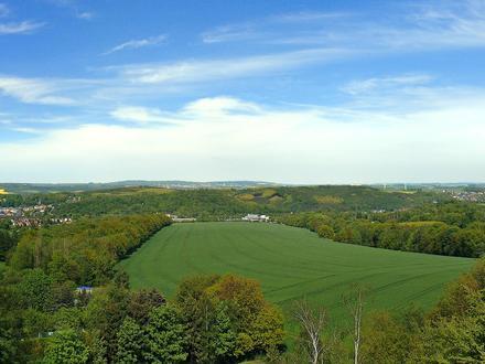 Lichtenstein Image