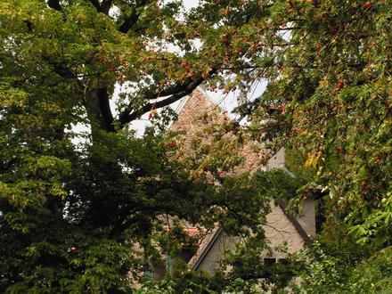 Bild von Collonge-Bellerive
