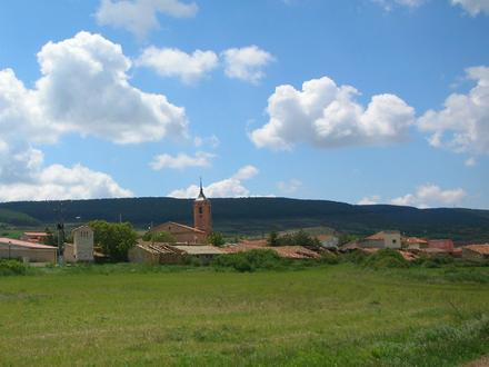 تصویر فنفریا