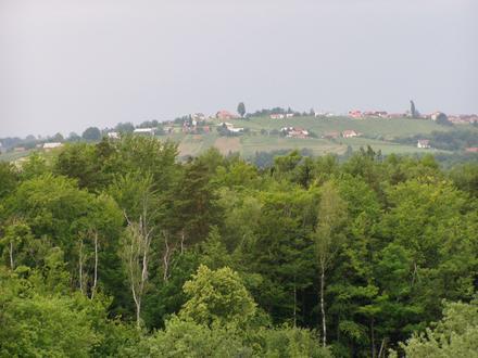 Slika Hum pri Ormožu Slika Hum pri Ormožu