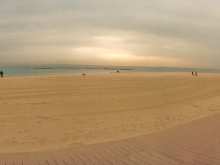 Bild von La Barceloneta