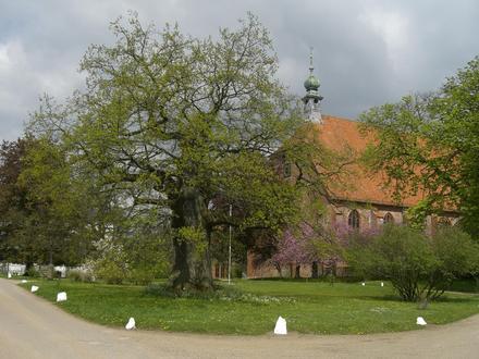Preetz Image