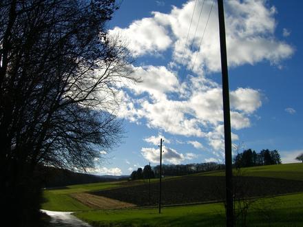 Bild på Allschwil Bild på Allschwil