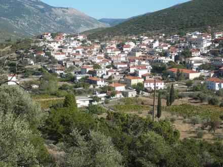 Image of Steiri Image of Steiri