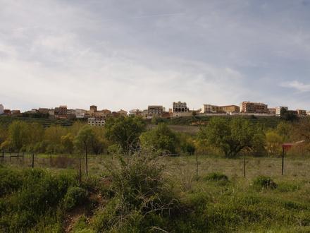 Imagen de Roa