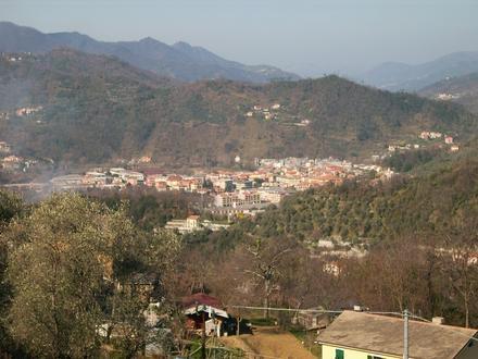 Immagine Carasco Immagine Carasco