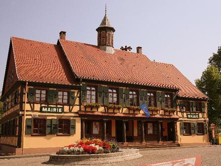 Obrázok Dalhunden Obrázok Dalhunden