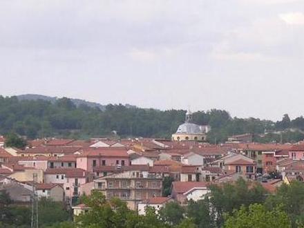 Immagine Lioni