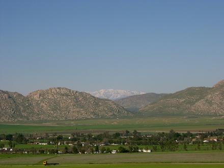 Bild von Nuevo