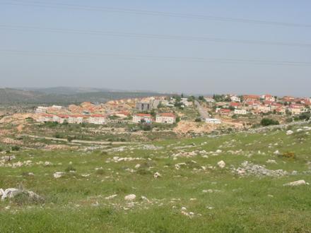 Image of Revava Image of Revava
