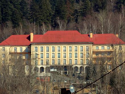 Bild von Wilkowice (Powiat Bielski)
