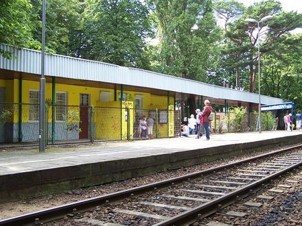 Bild von Jurata