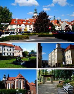 Obrázok Syców Obrázok Syców