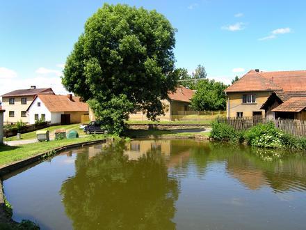 Bild von Onšov