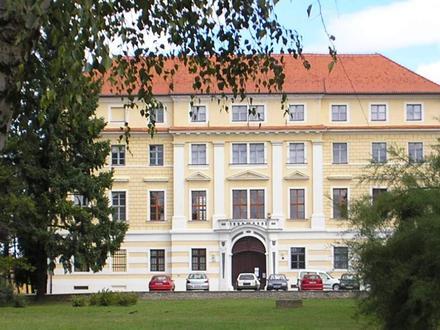 Slika Ludbreg Slika Ludbreg
