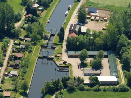 Lintig Image