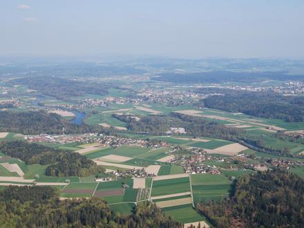 Bild von Bannwil