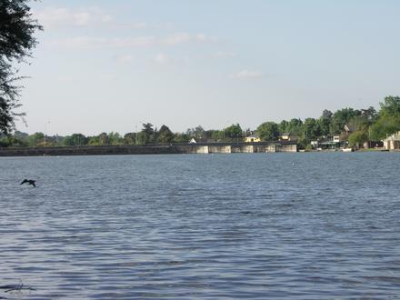 Image of Emmarentia Dam Image of Emmarentia Dam