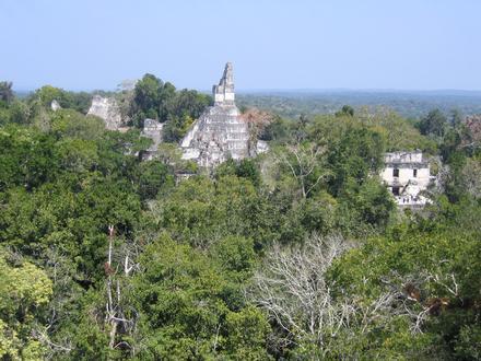 Image of Tikal Image of Tikal