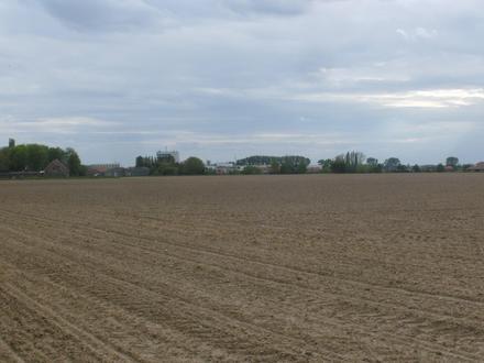 Bild von Langemark Bild von Langemark