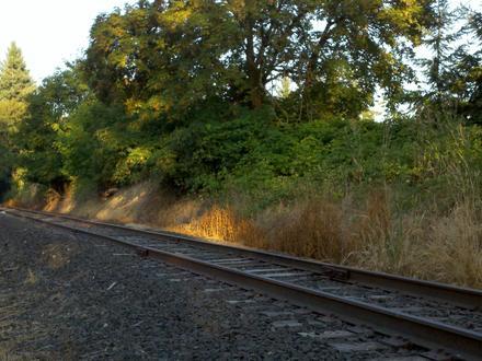 Image of Middleton, Oregon
