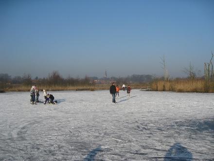 Afbeelding van Riel (Goirle) Afbeelding van Riel (Goirle)