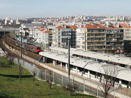 Amadora attēls