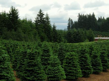 Image of Redland, Oregon